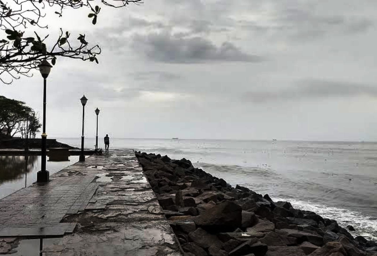 Why August is the Best-Kept Secret for a Fort Kochi Getaway